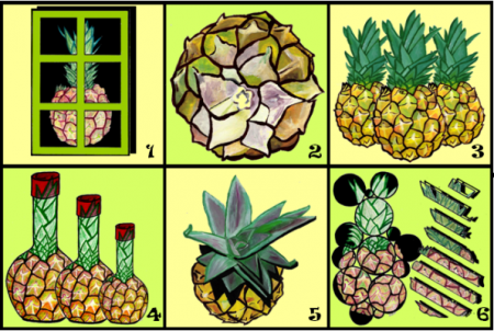 Adaptación elemento natural